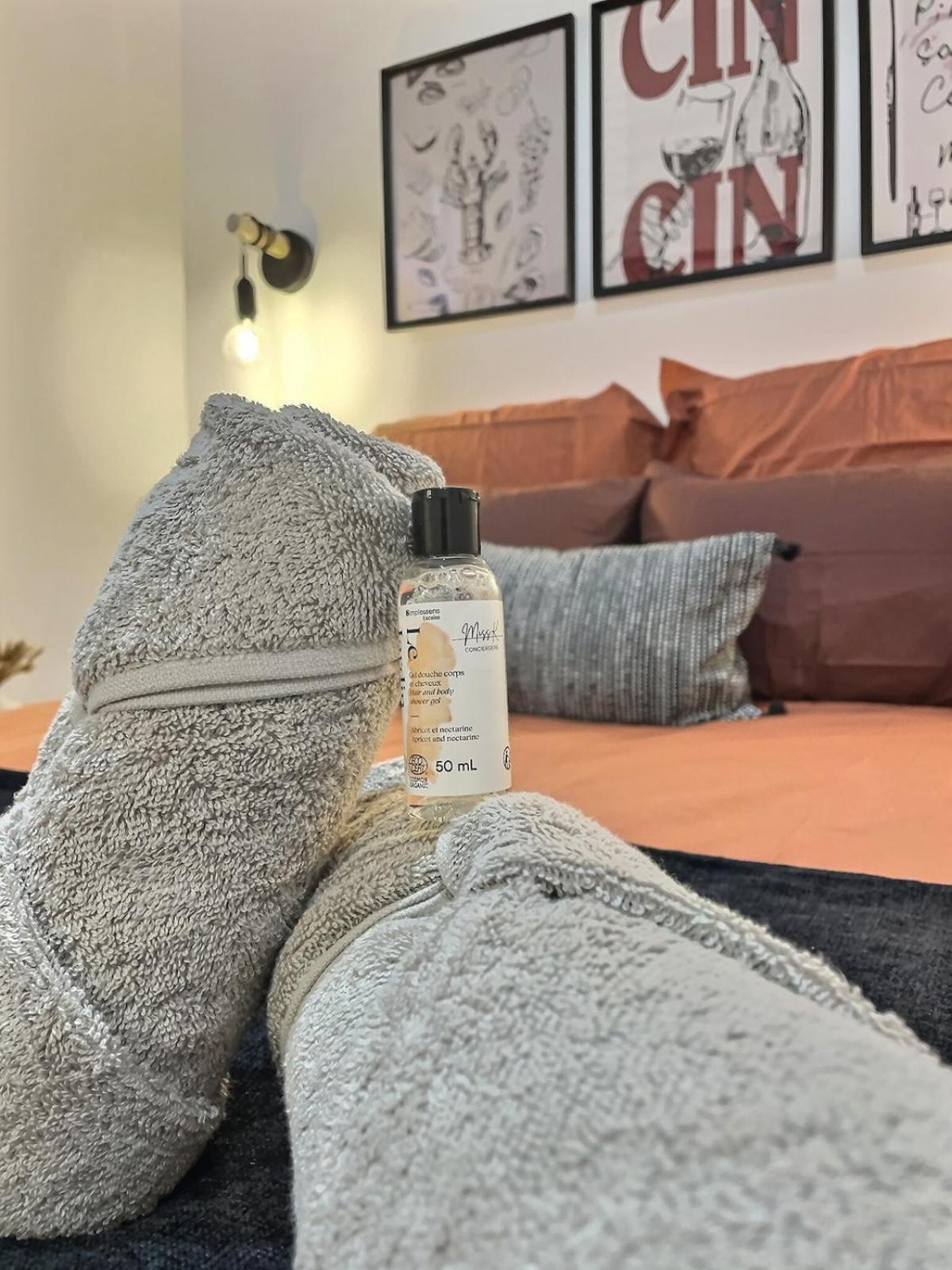 Appartement Romance Maconnaise